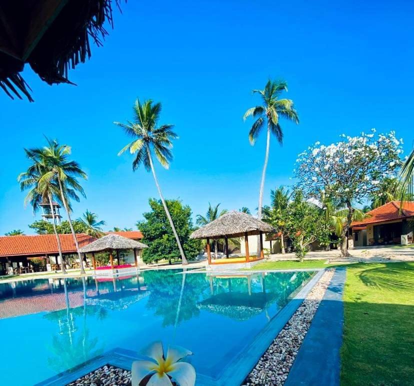 Blue Waves Kite Surfing Beach Resort 卡尔皮蒂耶 外观 照片